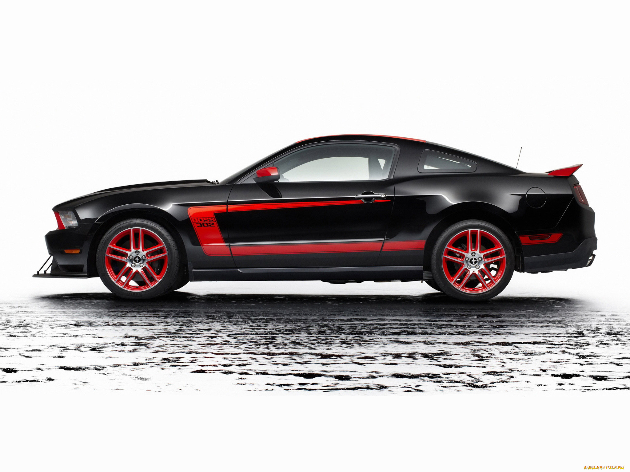 , mustang